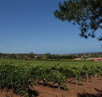 Grancari - Gold Coast Attractions