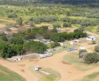 Blackall Saleyards