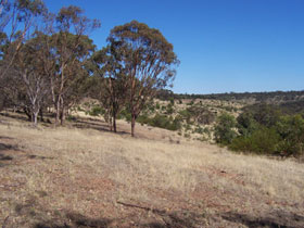 Onkaparinga River National Park - Gold Coast Attractions 0
