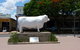 Aramac - The White Bull - thumb 0