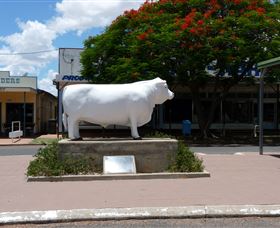 Aramac - The White Bull - Gold Coast Attractions 0