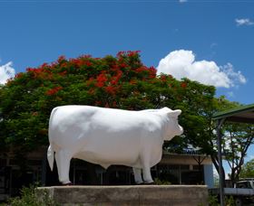 Aramac - The White Bull - Gold Coast Attractions 1