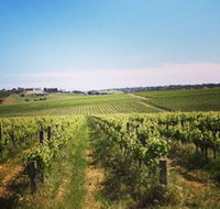 Adelaide Winemakers - Gold Coast Attractions