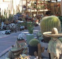 Cactus Creations - Gold Coast Attractions