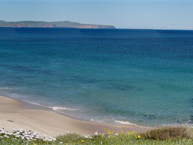 Carrickalinga Beach - Gold Coast Attractions 1