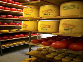 Alexandrina Cheese Company - Gold Coast Attractions 0
