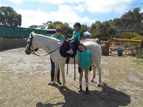 Animal Farm Goolwa - Gold Coast Attractions 2