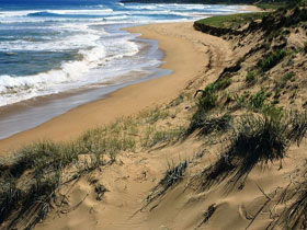 Newland Head Conservation Park - Gold Coast Attractions 0