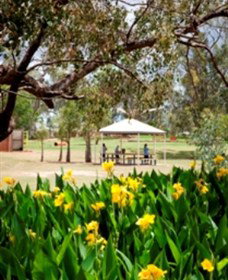 Charleville - Graham Andrews Parklands - Gold Coast Attractions 0