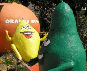 Orange World - Gold Coast Attractions 0