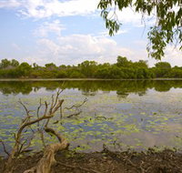 Yurmikmik Walks - Gold Coast Attractions