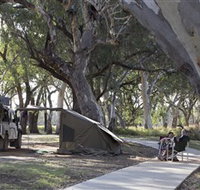 Wallam Creek Bollon - Gold Coast Attractions