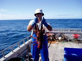 Lacepede Seafood - Gold Coast Attractions 2