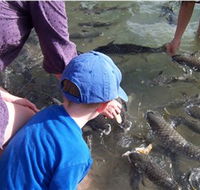 Aquascene - Gold Coast Attractions