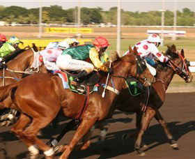 Darwin Turf Club - Gold Coast Attractions 1
