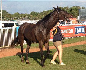 Darwin Turf Club - Gold Coast Attractions 2