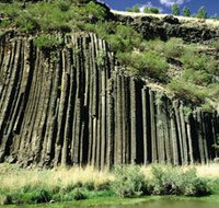 Organ Pipes National Park