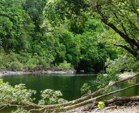 Broadwater, Abergowrie State Forest - Gold Coast Attractions 0