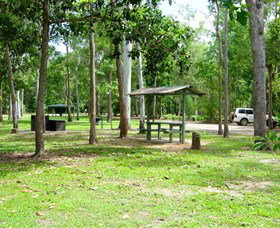 Broadwater, Abergowrie State Forest - Gold Coast Attractions 1
