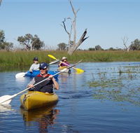 Marsh Meanders - Gold Coast Attractions