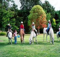 Limestone Coast Horseriding - Gold Coast Attractions