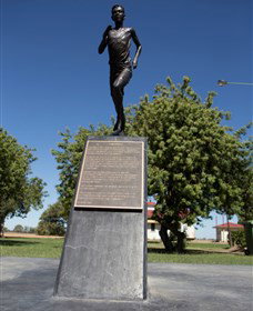 Railway Park Dirranbandi - Gold Coast Attractions 1