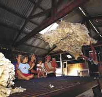 Shear Outback the Australian Shearers Hall of Fame - Gold Coast Attractions