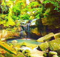 Carnarvon Gorge Carnarvon National Park - Gold Coast Attractions
