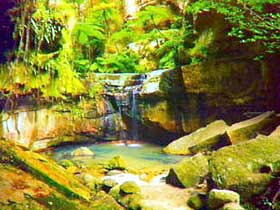 Carnarvon Gorge, Carnarvon National Park - Gold Coast Attractions 0