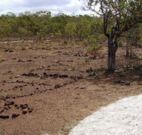 Wurrwurrwuy Garanhan Macassan Beach Interpretive Walk - Gold Coast Attractions