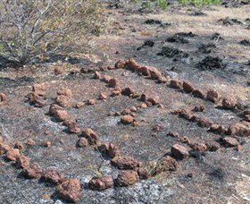 Wurrwurrwuy (Garanhan) Macassan Beach Interpretive Walk - Gold Coast Attractions 3