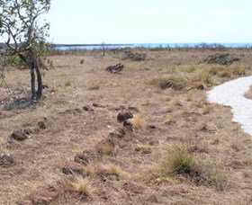 Wurrwurrwuy (Garanhan) Macassan Beach Interpretive Walk - Gold Coast Attractions 5