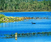 Hasties Swamp National Park