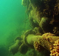 Wreck Diving at Magnetic Island - Gold Coast Attractions