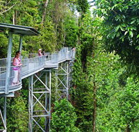 Mamu Tropical Skywalk - Gold Coast Attractions