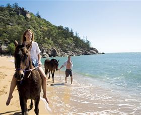Horseshoe Bay - Gold Coast Attractions 1