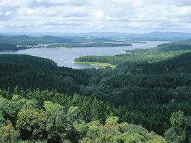 Gold Coast Attractions