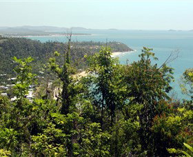 Clump Mountain National Park - Gold Coast Attractions 1