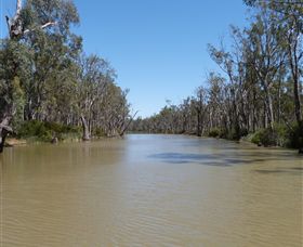 Wetlander Cruises - Gold Coast Attractions 3