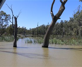 Wetlander Cruises - Gold Coast Attractions 4