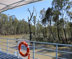 Wetlander Cruises - Gold Coast Attractions 6