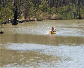 Wetlander Cruises - Gold Coast Attractions 5