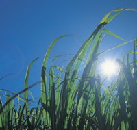 Australian Sugar Industry Museum - Gold Coast Attractions