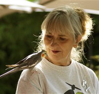 Simply Tomatoes - Gold Coast Attractions