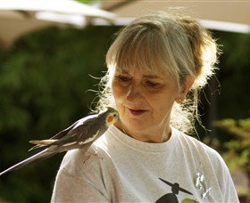 Simply Tomatoes - Gold Coast Attractions 0