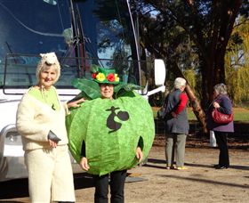 Simply Tomatoes - Gold Coast Attractions 6