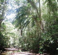 Mount Lewis National Park - Gold Coast Attractions