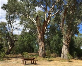 Bob Christensen Reserve - Gold Coast Attractions 2