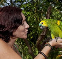 Birdworld Kuranda - Gold Coast Attractions