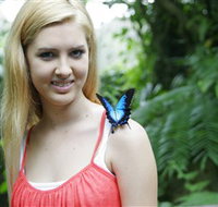 Australian Butterfly Sanctuary - Gold Coast Attractions
